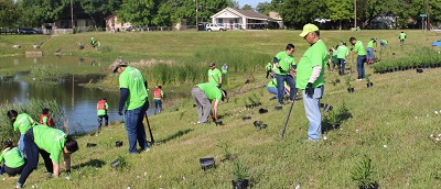 180427 Pavaho sump planting 2 small.jpg