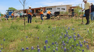 180529 TWM Planting.jpg